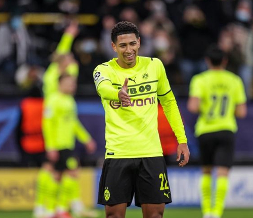 顶级职业球 顶级职业球