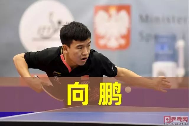 不仅增强了 不仅增强了