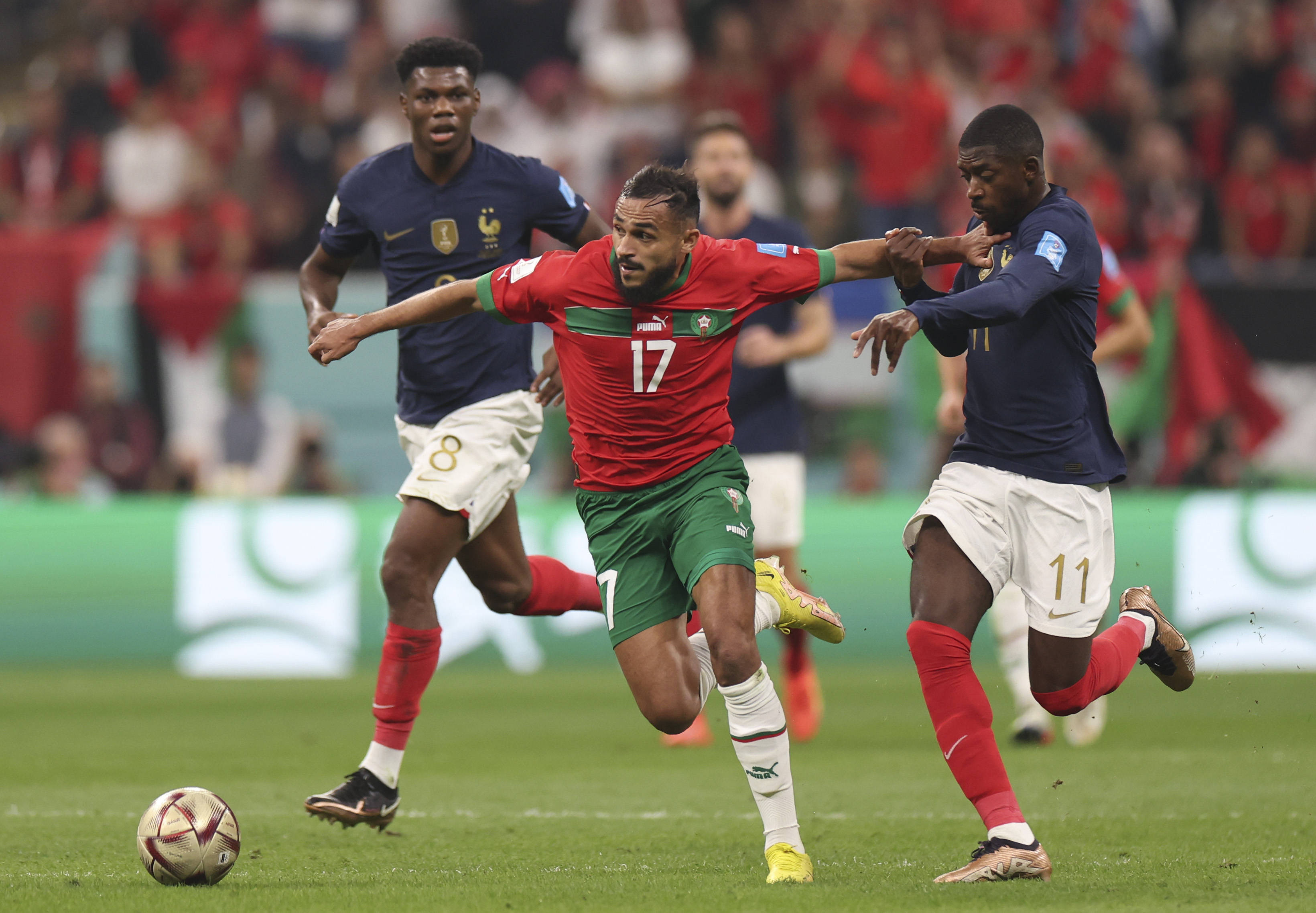 总而言之 总而言之