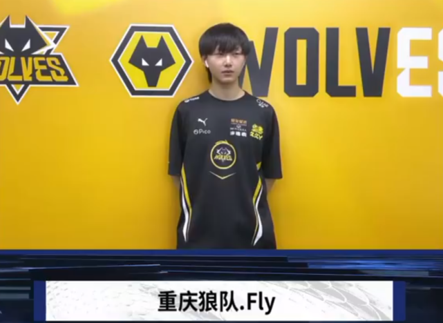 定性 定性